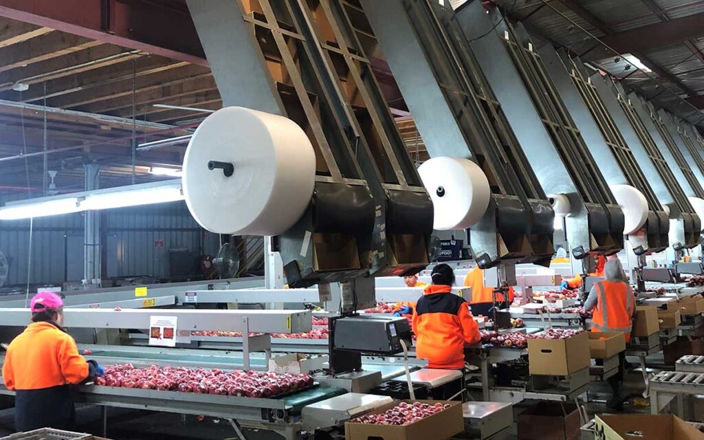 ThreeSixty Supply Chain Group, Montague